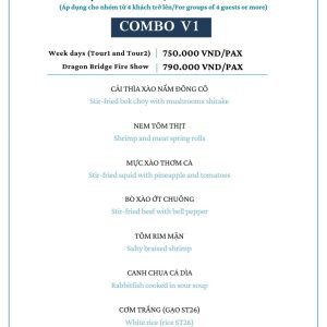 Combo V1 - Fireshow days